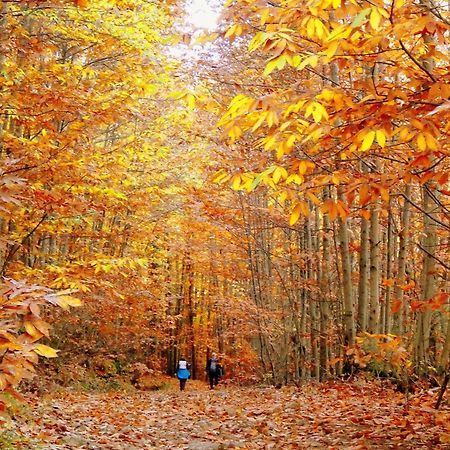 Aroma De Primavera En Casas Rurales Acebuche Casas del Monte Eksteriør bilde