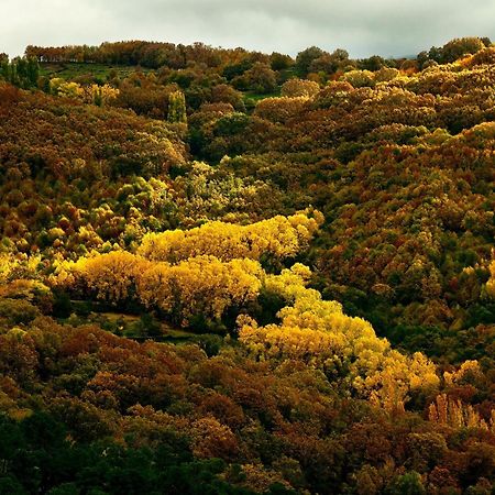Aroma De Primavera En Casas Rurales Acebuche Casas del Monte Eksteriør bilde
