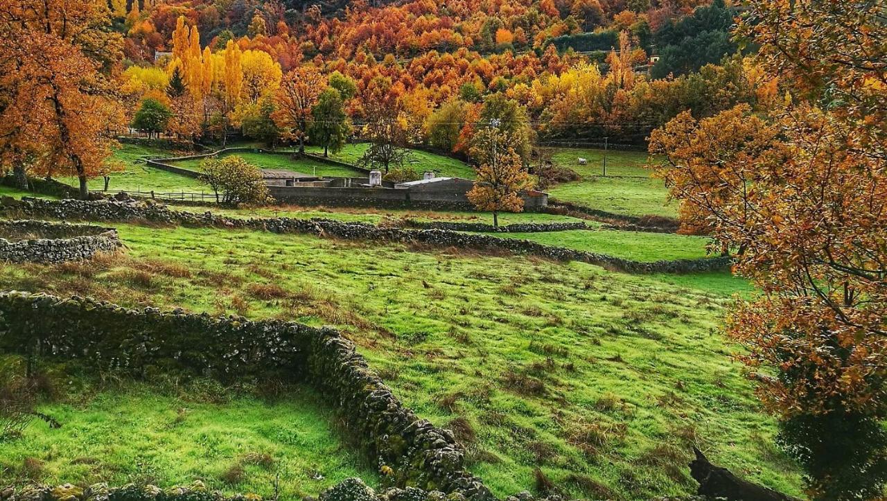 Aroma De Primavera En Casas Rurales Acebuche Casas del Monte Eksteriør bilde