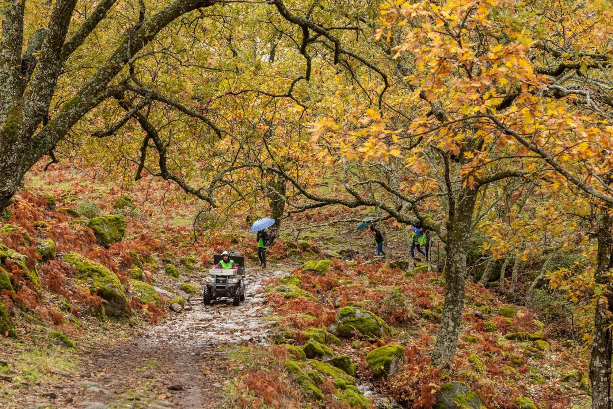 Aroma De Primavera En Casas Rurales Acebuche Casas del Monte Eksteriør bilde