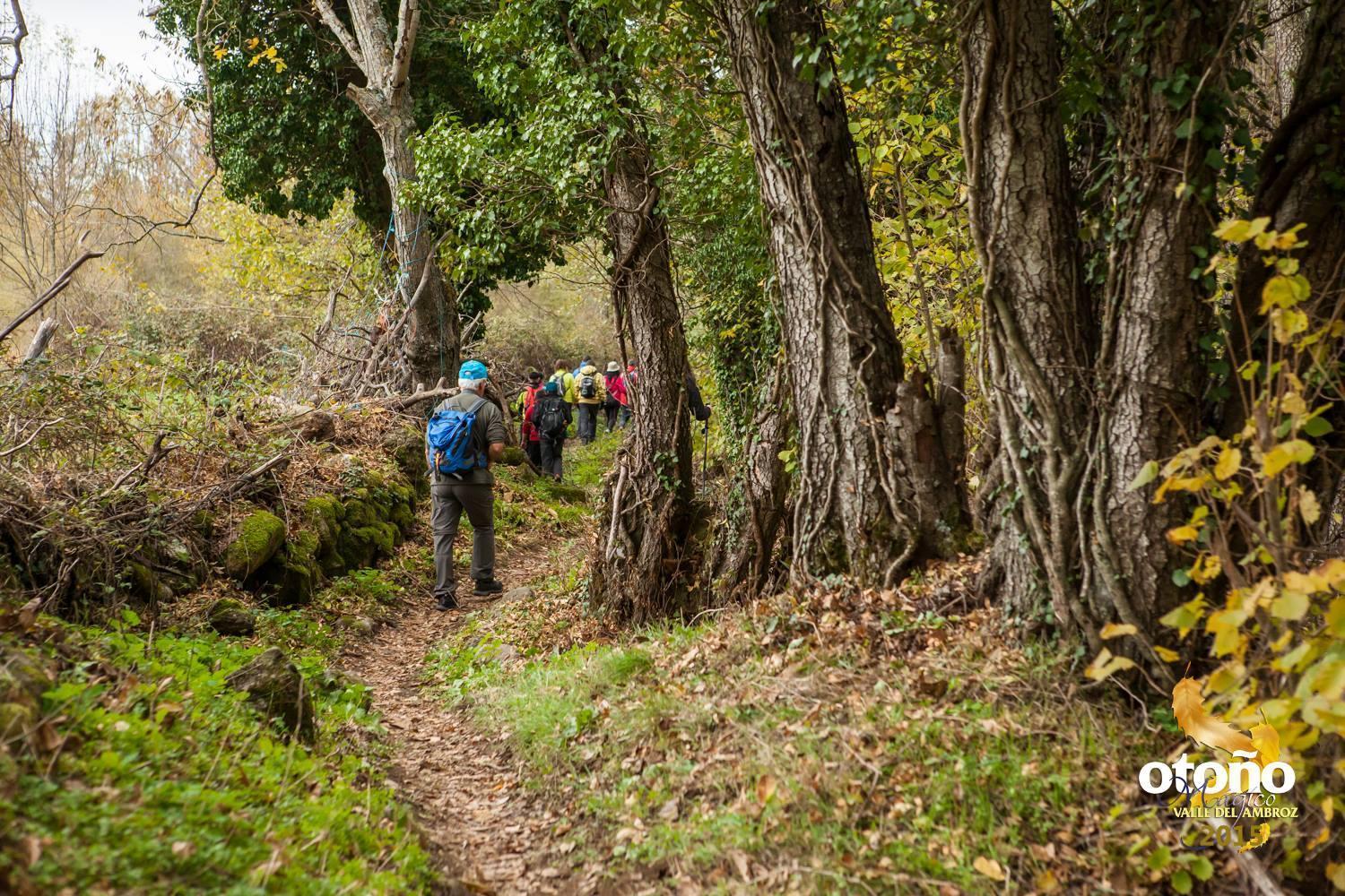 Aroma De Primavera En Casas Rurales Acebuche Casas del Monte Eksteriør bilde