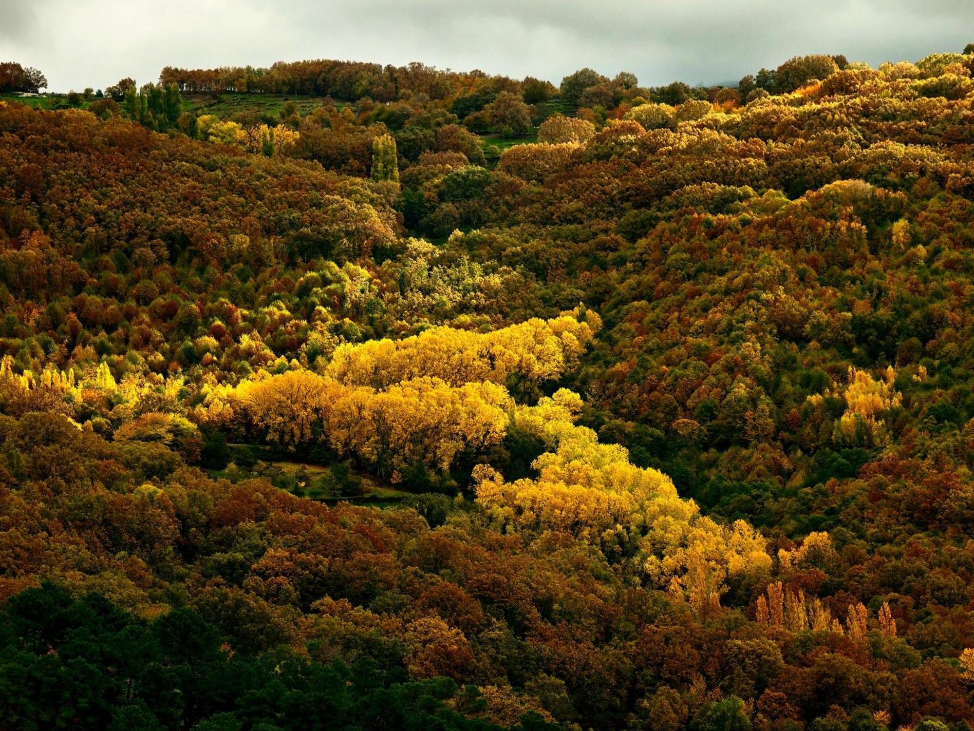 Aroma De Primavera En Casas Rurales Acebuche Casas del Monte Eksteriør bilde
