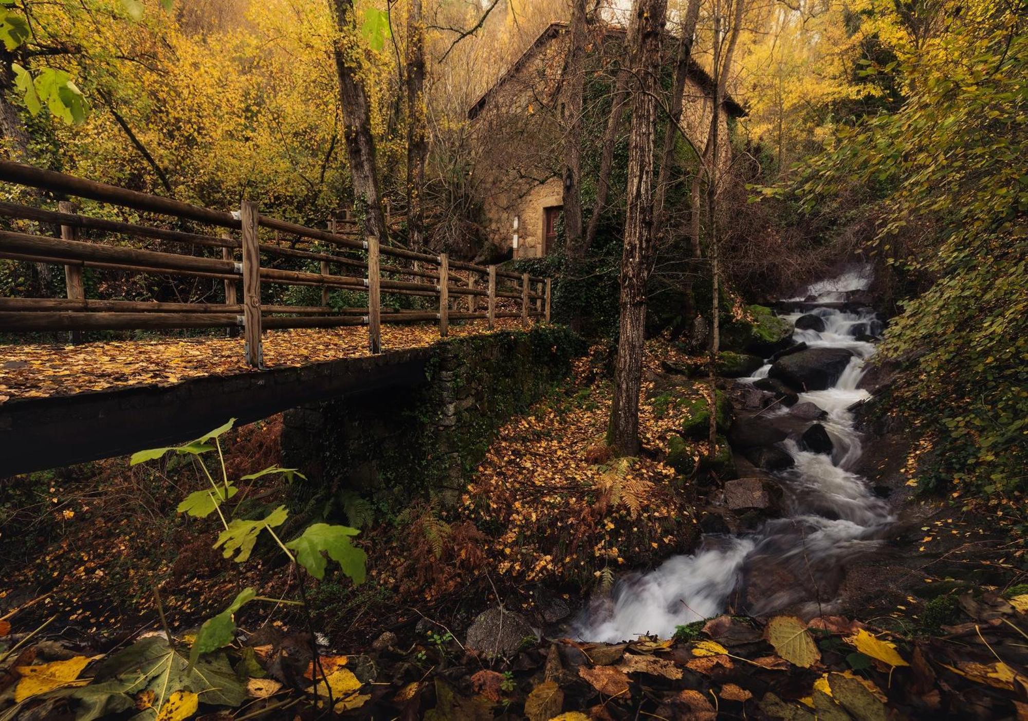 Aroma De Primavera En Casas Rurales Acebuche Casas del Monte Eksteriør bilde
