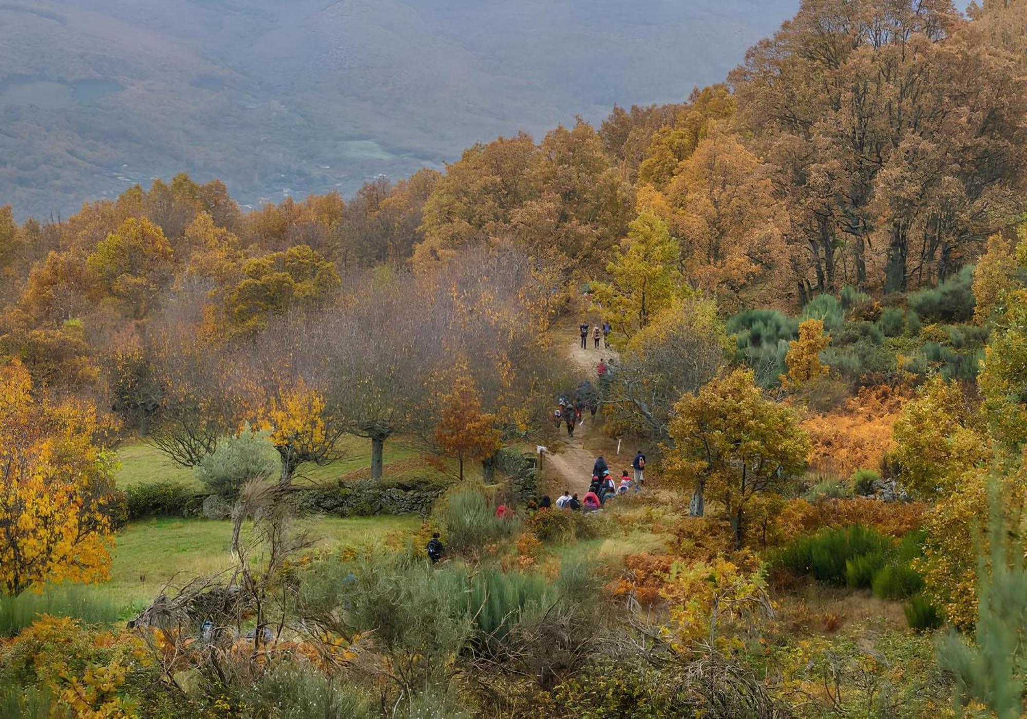 Aroma De Primavera En Casas Rurales Acebuche Casas del Monte Eksteriør bilde