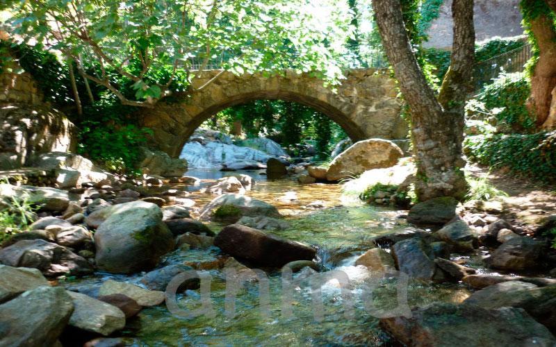 Aroma De Primavera En Casas Rurales Acebuche Casas del Monte Eksteriør bilde